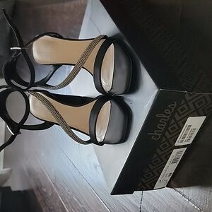 Charles Elegant Black and Silver Heels